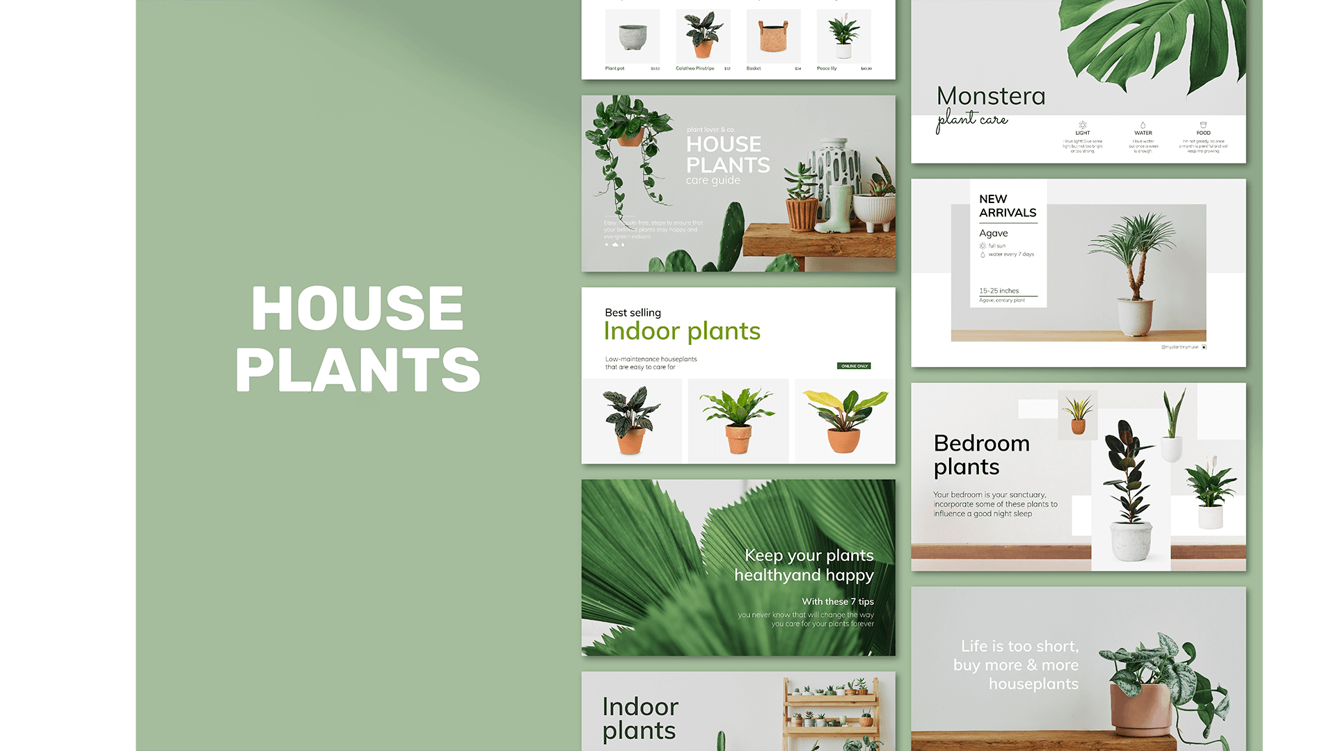 Best Website Design in Northern Suburbs Melbourne